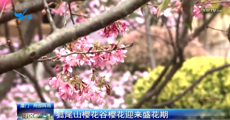 1712026537932523.png 1711695206981.png